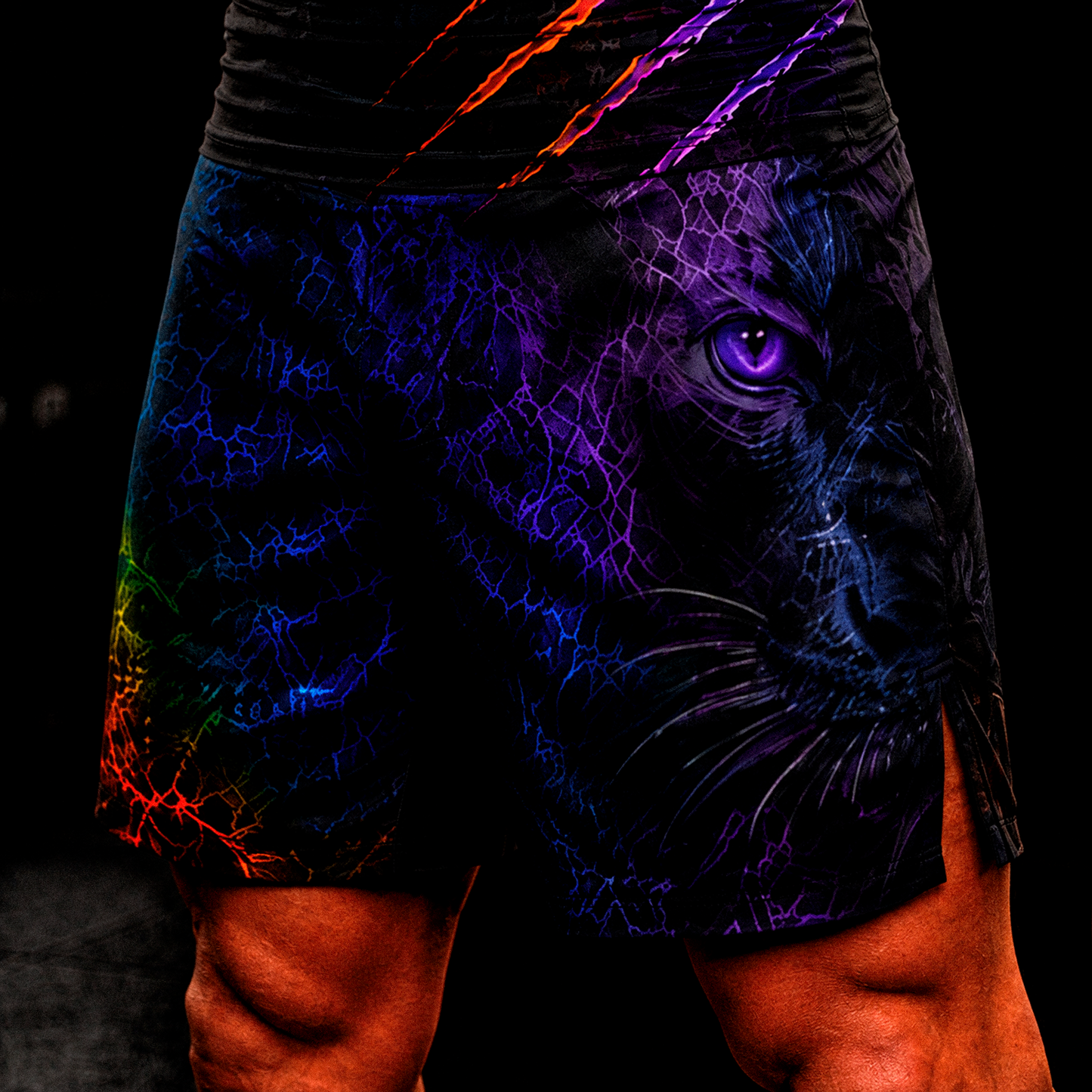 Primal Energy BJJ Rash Guard