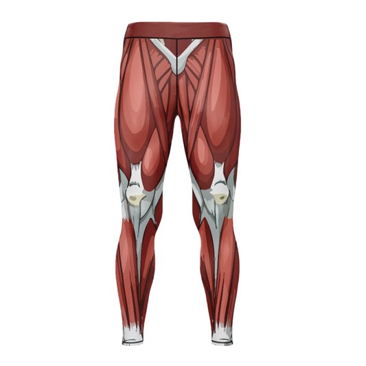 Muscle Anatomy BJJ Spats